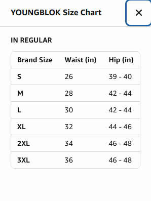 Womens Rayon Plazzo